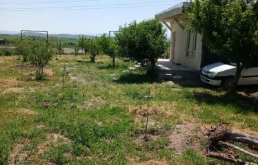 باغ 1300 متری در بحر جاده ترک