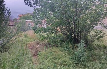 فروش ساختمان مسکونی 345 متری در خیابان گل محمد