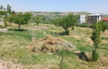 باغ 1300 متری در بحر جاده ترک