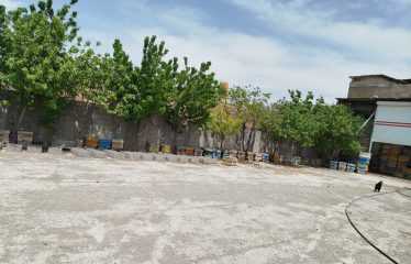 فروش کارگاه تولیدی 1022 متری در قوری چای