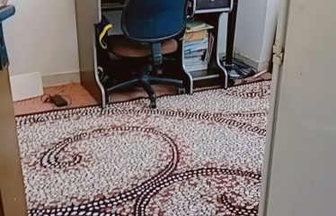 فروش واحد 85 متری مسکن مهر گلشن