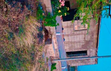 باغ 3800متر در روستای جهندیز