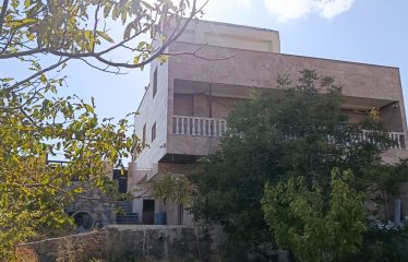 فروش باغ ویلا 1000متری واقع در روستای برنلیق