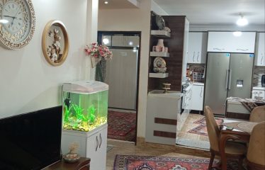 فروش ویلایی دو طبقه محدوده امی تیس