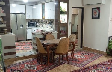 فروش ویلایی دو طبقه محدوده امی تیس