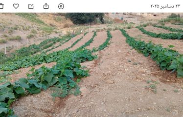 فروش زمین ۲٠٠٠ متری واقع در روستای قراجه